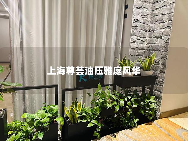 上海尊荟油压雅庭风华