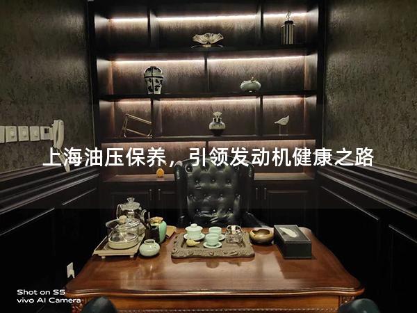 上海油压保养，引领发动机健康之路
